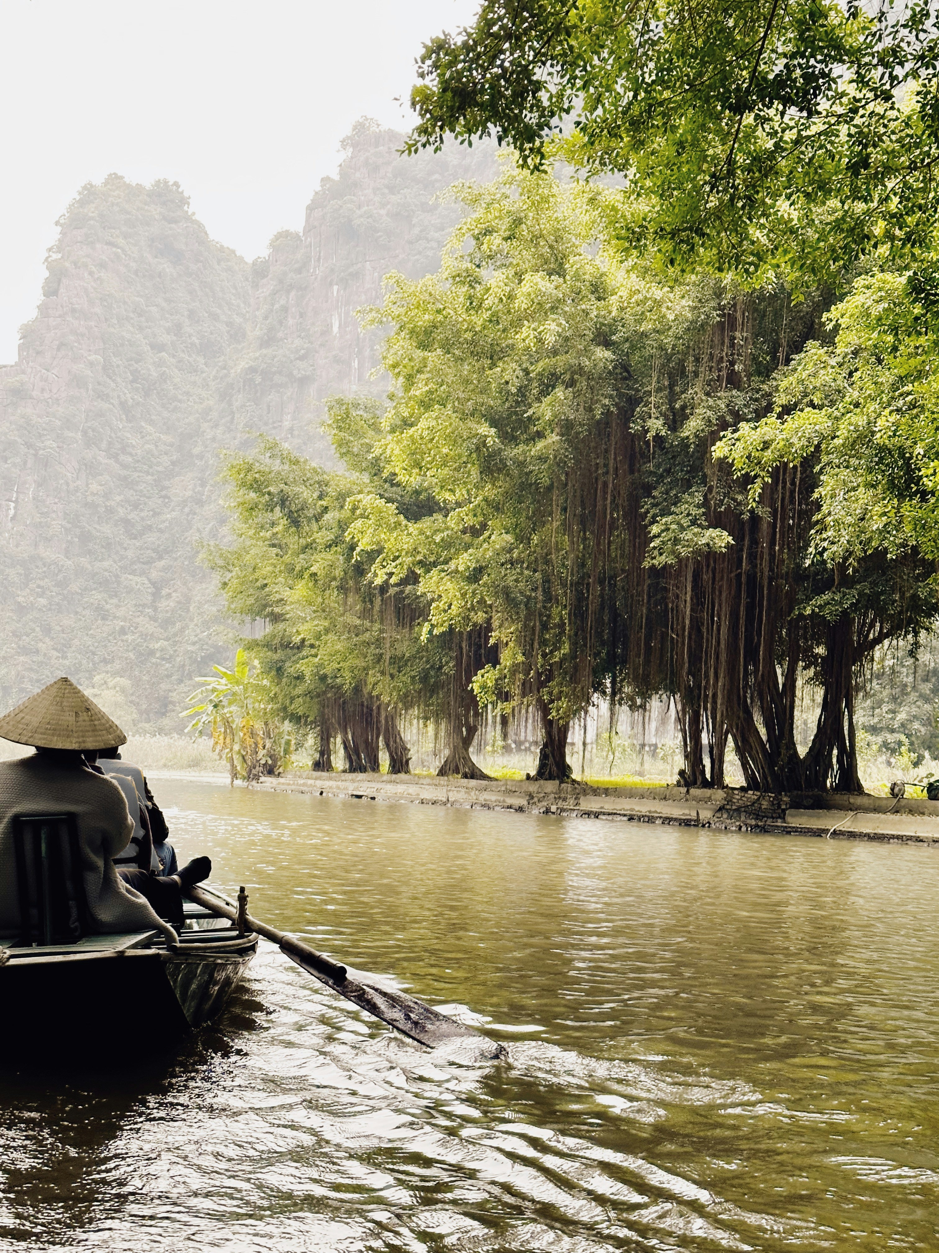 Drifting beneath the banyans