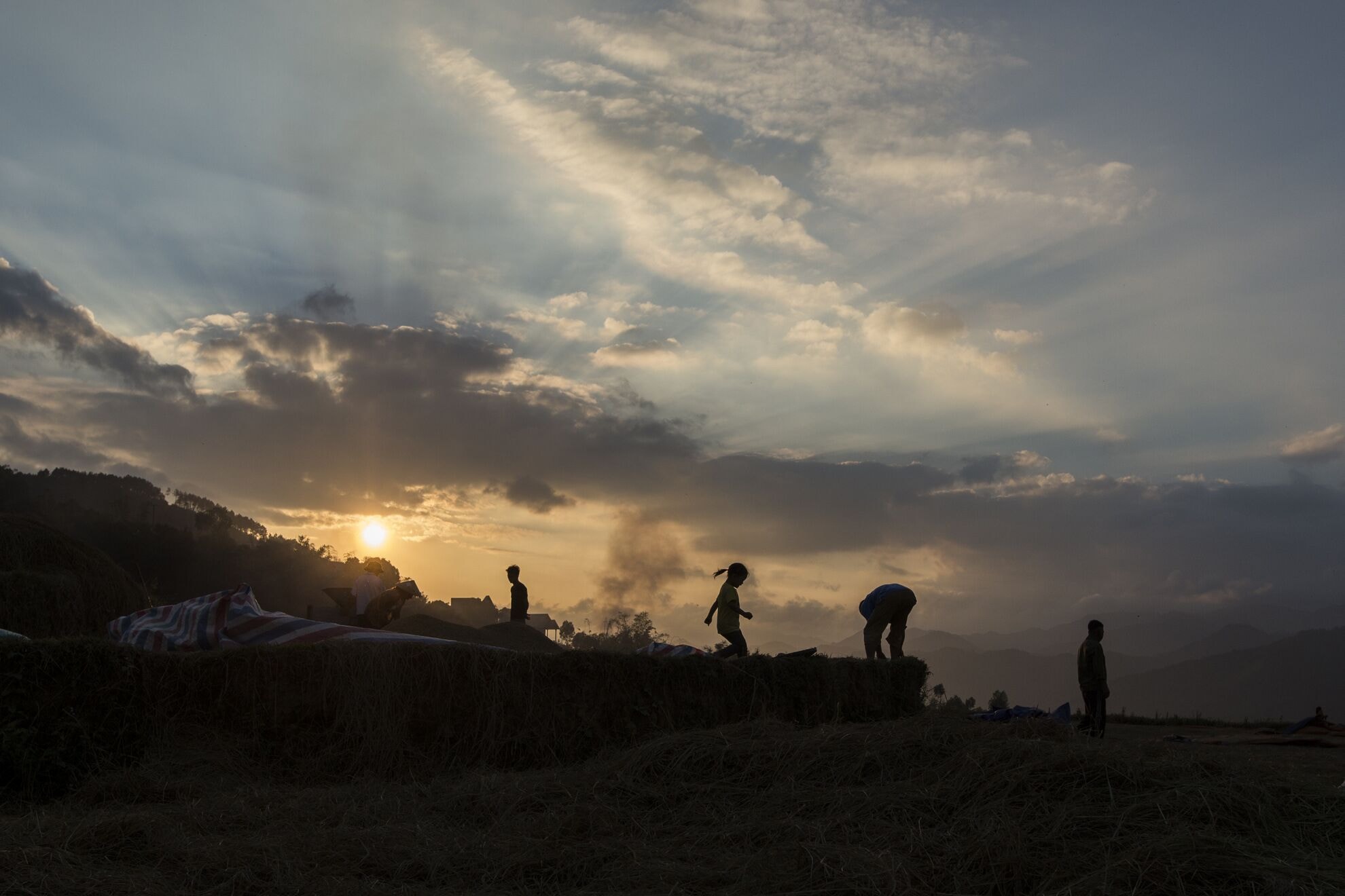 The harvest hour