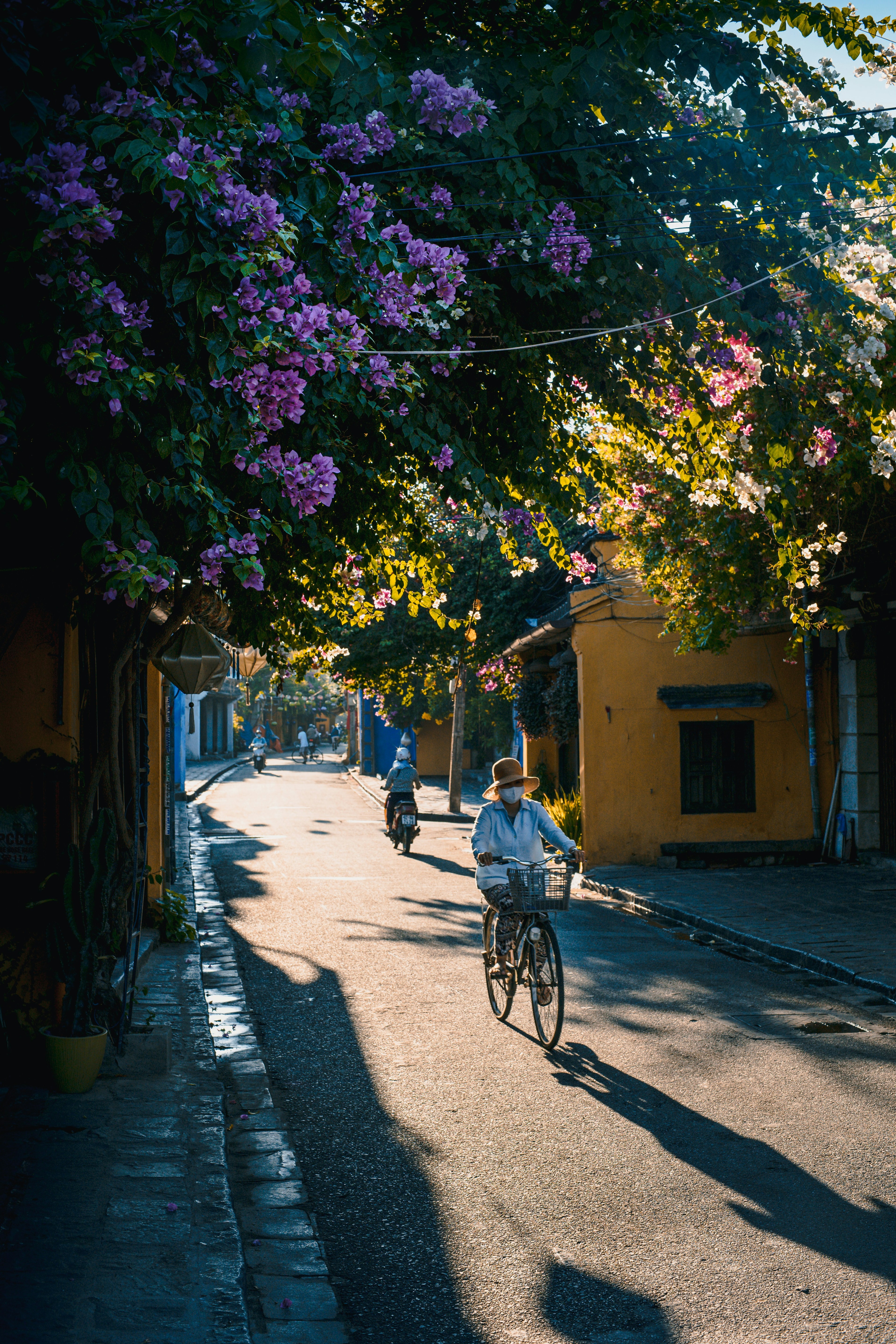 Bougainvillea over the old streets