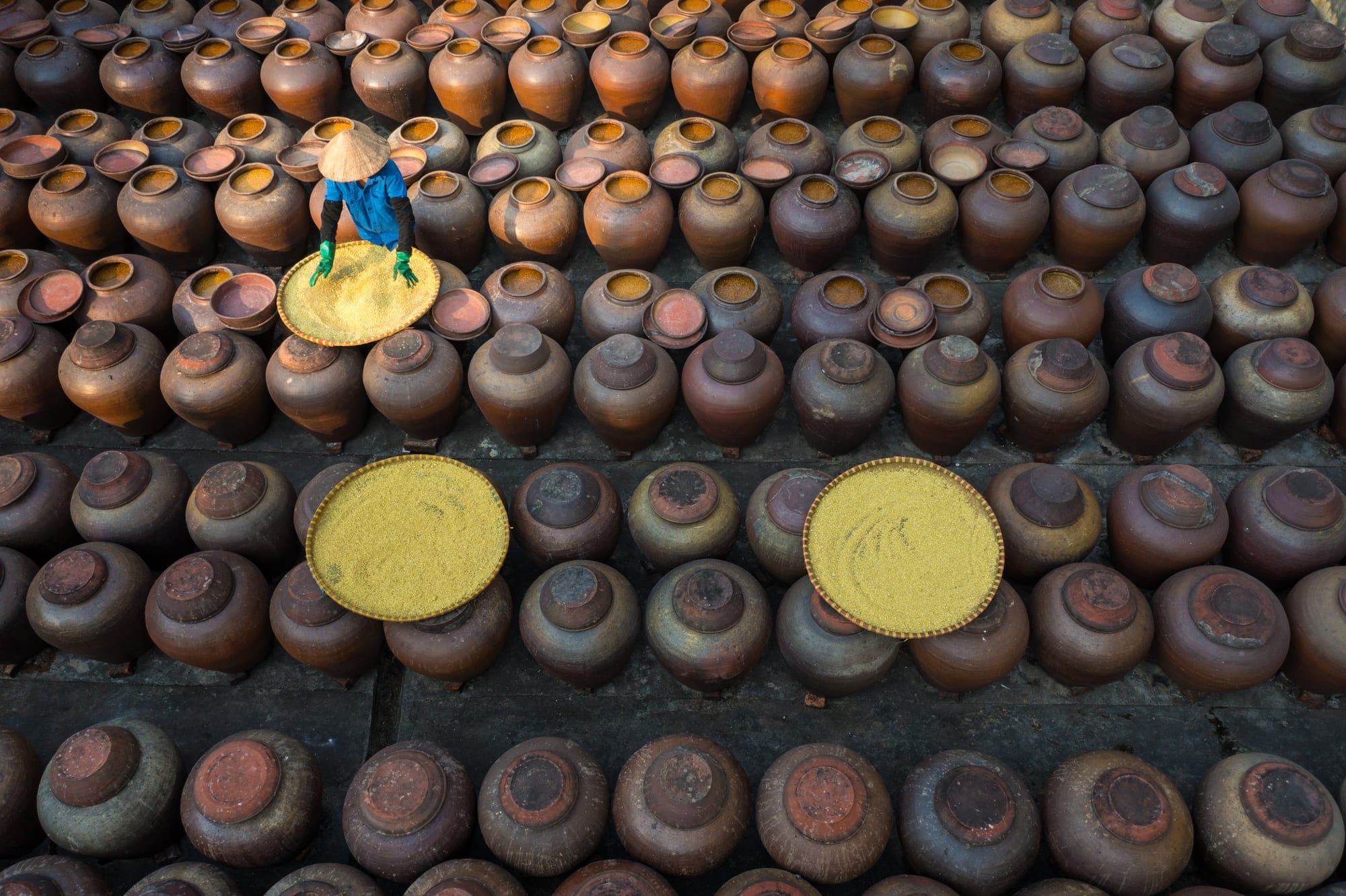 Cook & Eat - discover the rich food culture of Vietnam