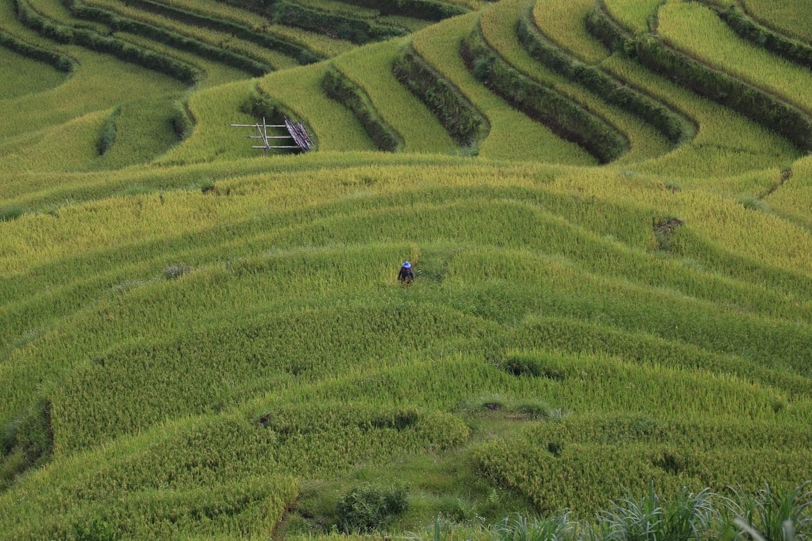 Live the local life - meeting local families and their way of life, most living from their land and agriculture